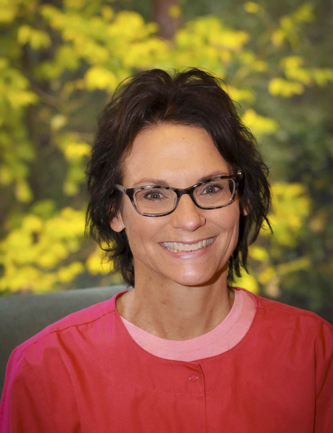 Kristine Henningson, Toboggan Run Dental, Rice Lake WI